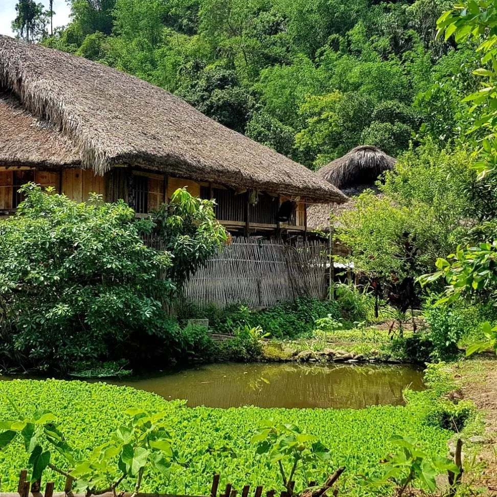 maison expérience locale au Vietnam